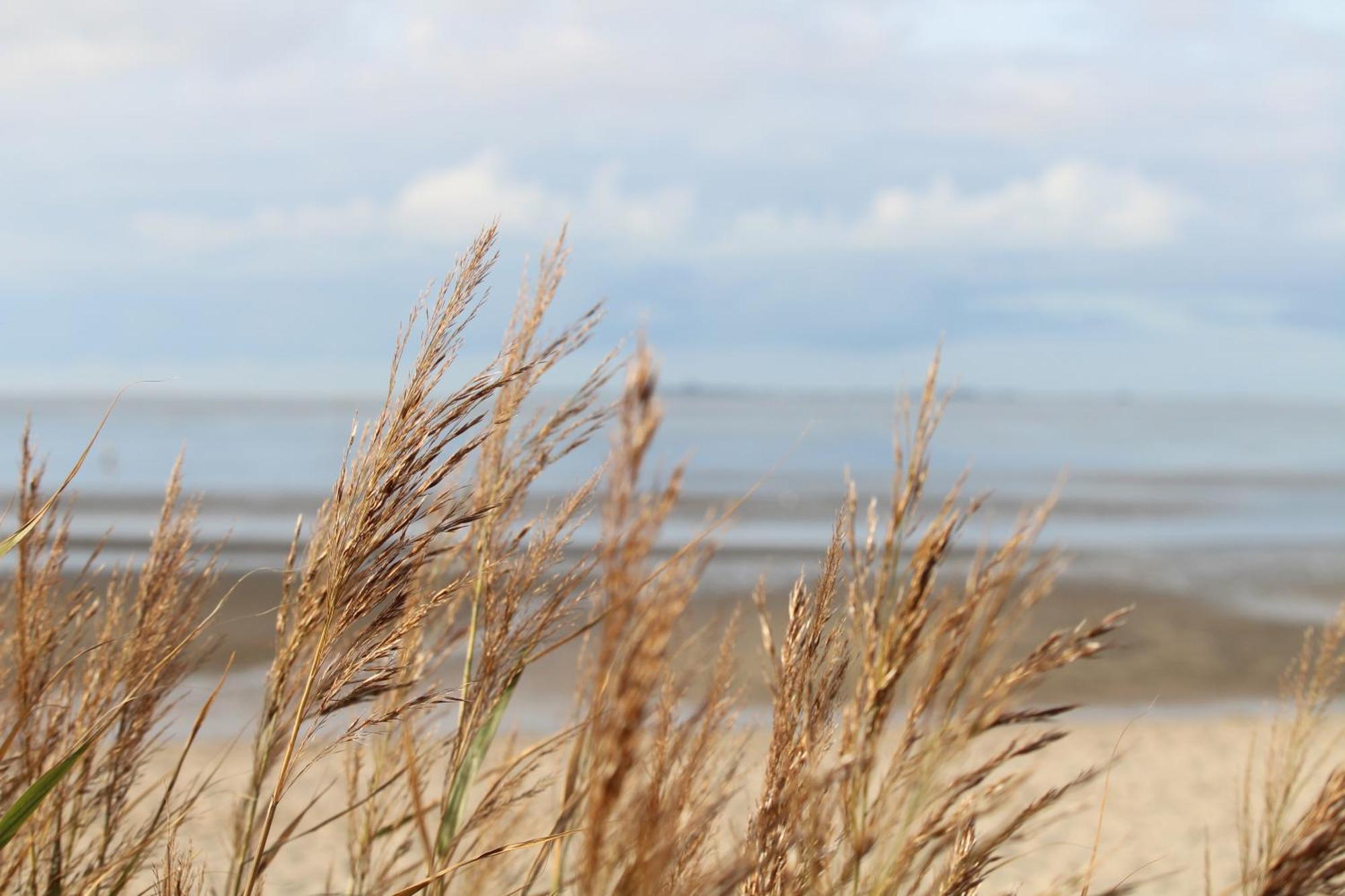 Steffis-Strand-Schule Cuxhaven Exterior photo
